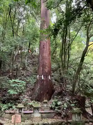 舟津神社(福井県)