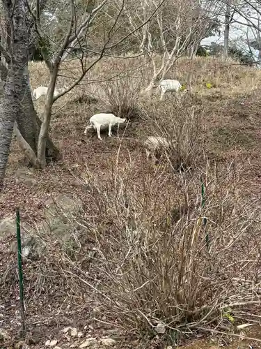 楽法寺（雨引観音）(茨城県)
