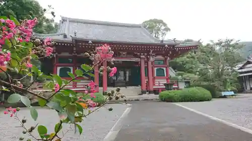 朝光寺の本殿・本堂
