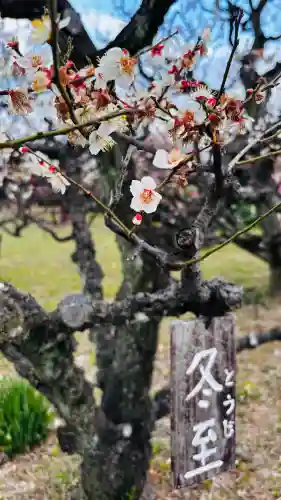 豊國神社の{uncategorized: "未分類", other: "その他", undefined: "問題あり", building: "その他建物", grave: "お墓", sacred_gate: "鳥居", guardian: "狛犬", statue: "像", buddha: "仏像", history: "歴史", nature: "自然", garden: "庭園", animal: "動物", pagoda: "塔", temizu: "手水舎", mountain_gate: "山門・神門", sanctuary: "本殿・本堂", subordinate: "末社・摂社", art: "芸術", scenery: "景色", jizo: "地蔵", ema: "絵馬", goshuin: "御朱印", omikuji: "おみくじ", items: "授与品その他", amulet: "お守り", goshuincho: "御朱印帳", eats: "食事", festival: "お祭り", votive_dance: "神楽", shichigosan: "七五三参", wedding: "結婚式", experience: "体験その他", initially: "初詣", around: "周辺", anti_infection: "感染症対策"}