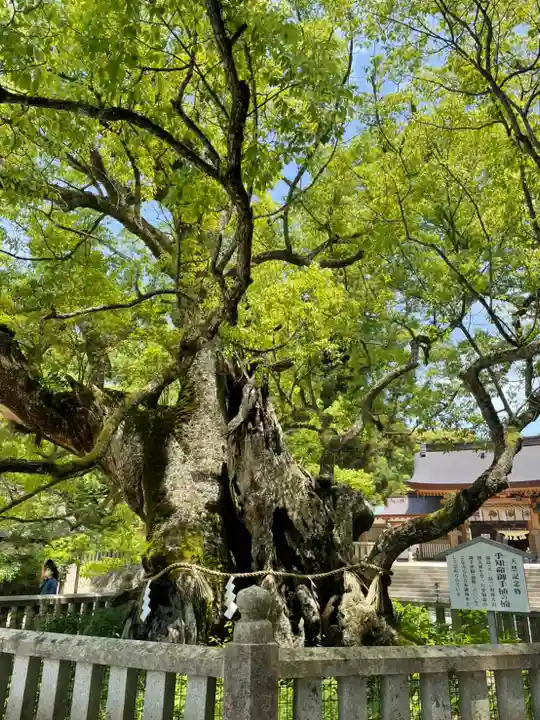 大山祇神社(愛媛県)