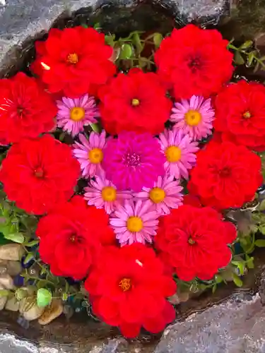 伊達神社の手水舎