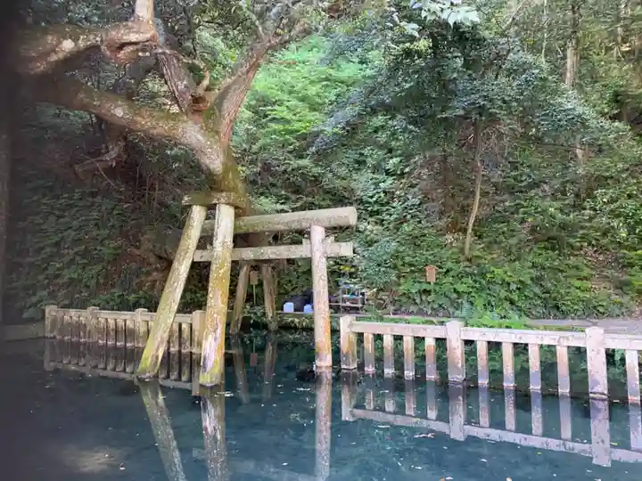 鹿島神宮(茨城県)