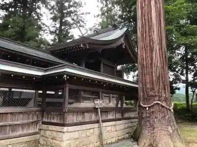 天照玉命神社(京都府)