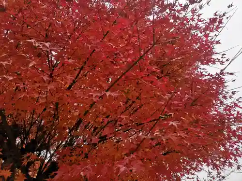大成龍神社(広島県)