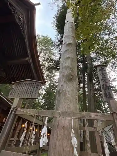 諏訪大社(長野県)