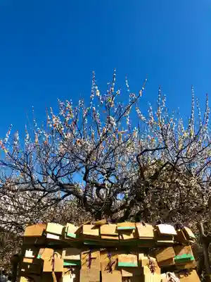 湯島天満宮の絵馬