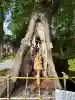 秩父今宮神社の{uncategorized: "未分類", other: "その他", undefined: "問題あり", building: "その他建物", grave: "お墓", sacred_gate: "鳥居", guardian: "狛犬", statue: "像", buddha: "仏像", history: "歴史", nature: "自然", garden: "庭園", animal: "動物", pagoda: "塔", temizu: "手水舎", mountain_gate: "山門・神門", sanctuary: "本殿・本堂", subordinate: "末社・摂社", art: "芸術", scenery: "景色", jizo: "地蔵", ema: "絵馬", goshuin: "御朱印", omikuji: "おみくじ", items: "授与品その他", amulet: "お守り", goshuincho: "御朱印帳", eats: "食事", festival: "お祭り", votive_dance: "神楽", shichigosan: "七五三参", wedding: "結婚式", experience: "体験その他", initially: "初詣", around: "周辺", anti_infection: "感染症対策"}