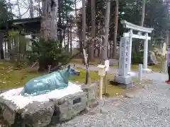 上川神社の狛犬