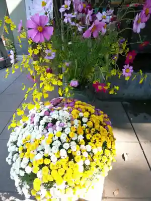 戸越八幡神社(東京都)