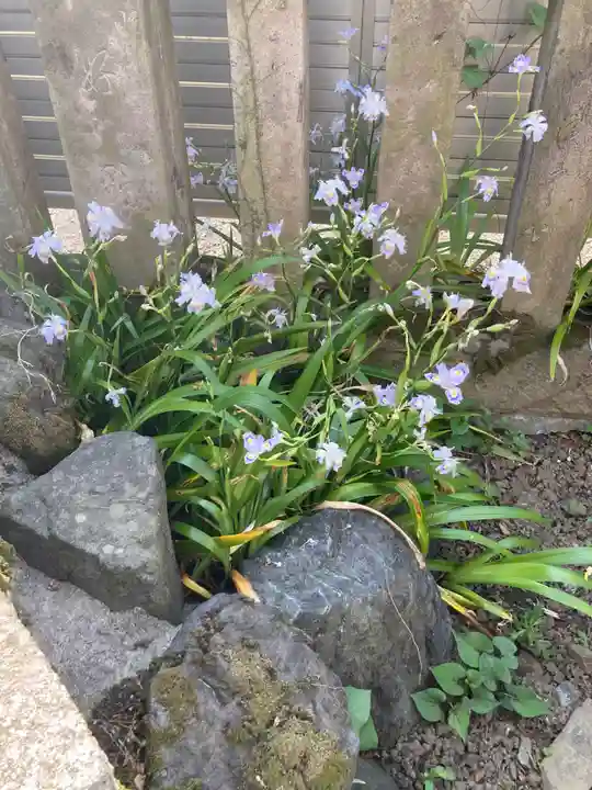 英稲荷神社(東京都)