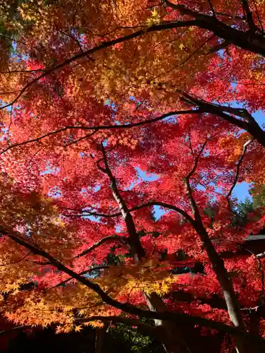 滑川神社 - 仕事と子どもの守り神(福島県)