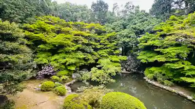 隨心院(随心院)(京都府)