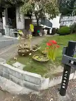 妙櫻寺の自然