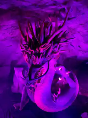 江の島岩屋(神奈川県)