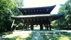 妙興報恩禅寺（妙興寺）(愛知県)