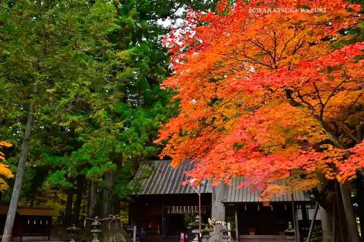 北口本宮冨士浅間神社(山梨県)