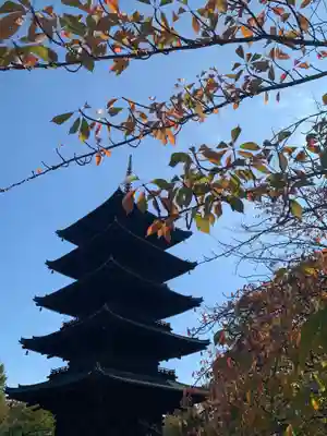 東寺（教王護国寺）(京都府)