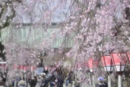 三嶋大社(静岡県)
