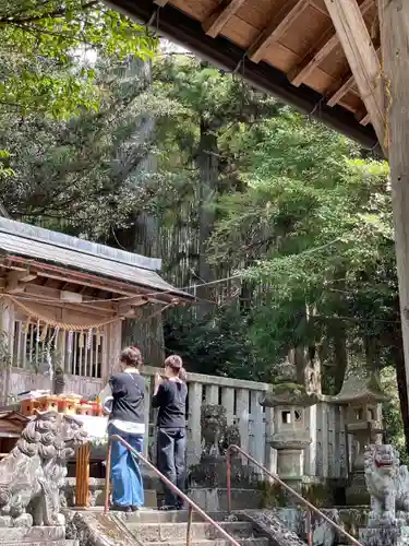 天鷹神社(岐阜県)