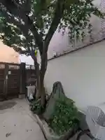 真龍寺(東京都)