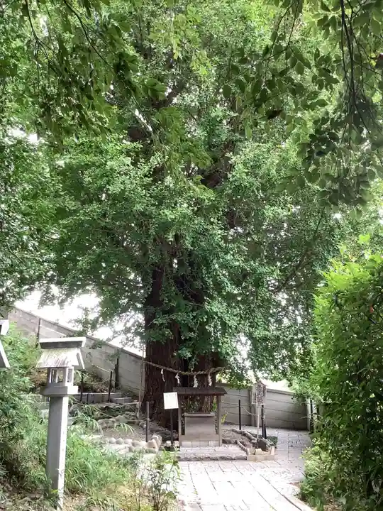 堤治神社の自然