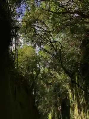 熊野神社の周辺