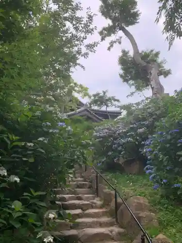 楽法寺（雨引観音）の庭園