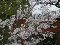 旗上弁財天社の自然