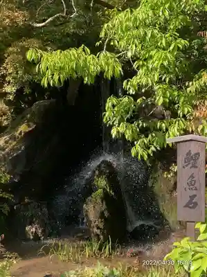 鹿苑寺(金閣寺)(京都府)