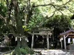 吾平津神社の建物その他