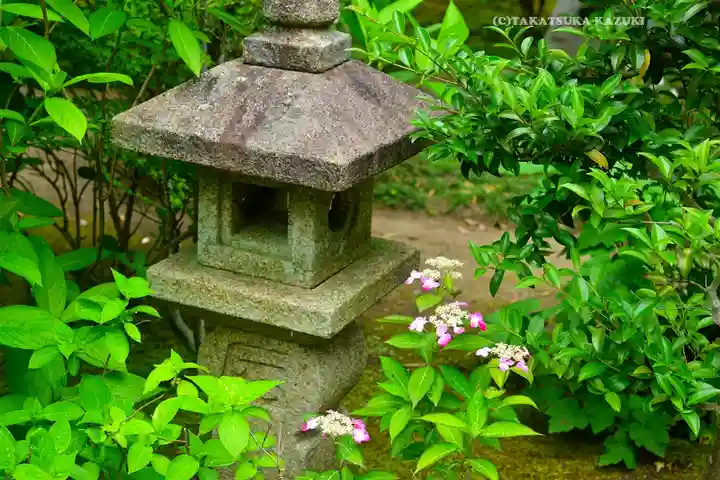 長壽寺(長寿寺)(神奈川県)