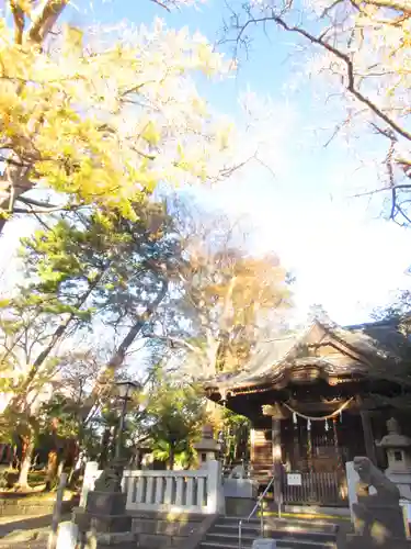 亀岡八幡宮（亀岡八幡神社）の本殿・本堂
