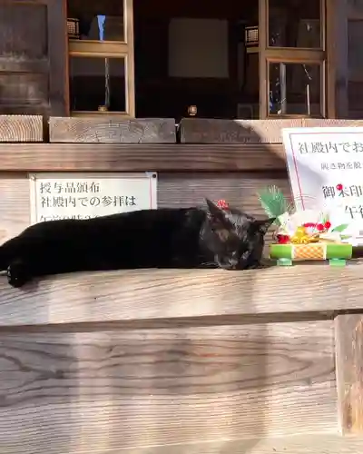 高司神社〜むすびの神の鎮まる社〜(福島県)
