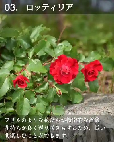 宝光寺(北海道)