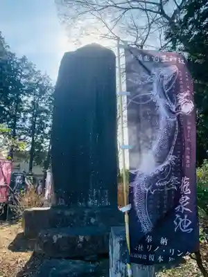前玉神社(埼玉県)