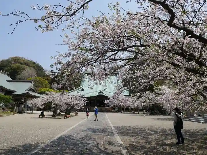 光明寺のその他建物