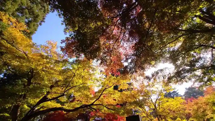 珍蔵寺 (山形県)