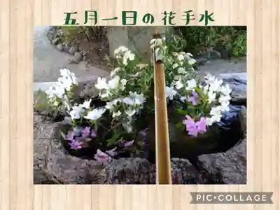 阿智神社の手水舎