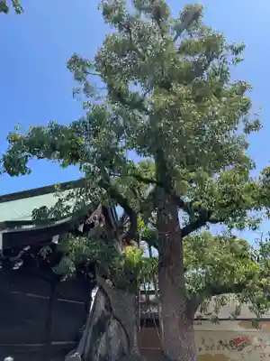 石清尾八幡宮(香川県)
