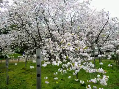 光善寺(北海道)