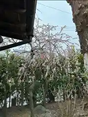 鹿島神社(栃木県)