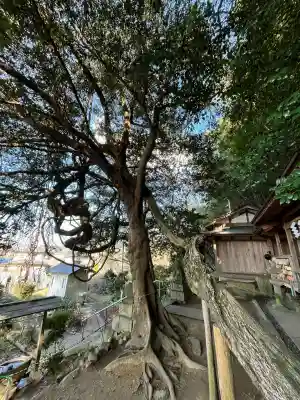 腰神神社(大阪府)