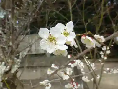 玉祖神社(山口県)