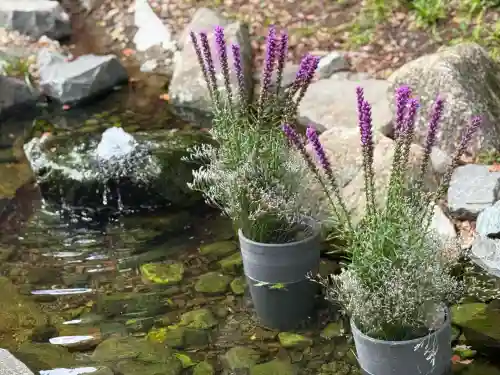 武蔵一宮氷川神社(埼玉県)