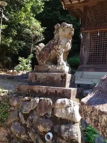 宇治上神社の狛犬