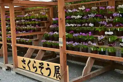 秩父神社(埼玉県)