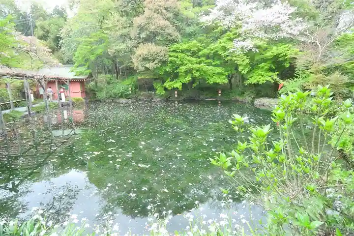 富士山本宮浅間大社の庭園