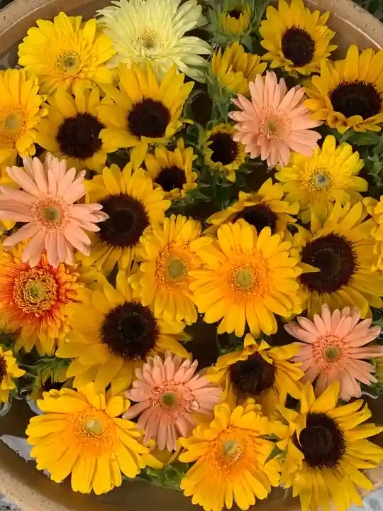 彌都加伎神社の手水舎