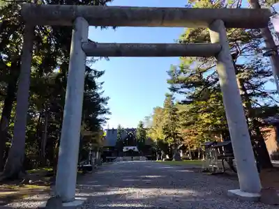 上川神社の鳥居